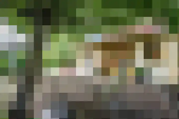 Melisse 14 Rutten thumbnail 45