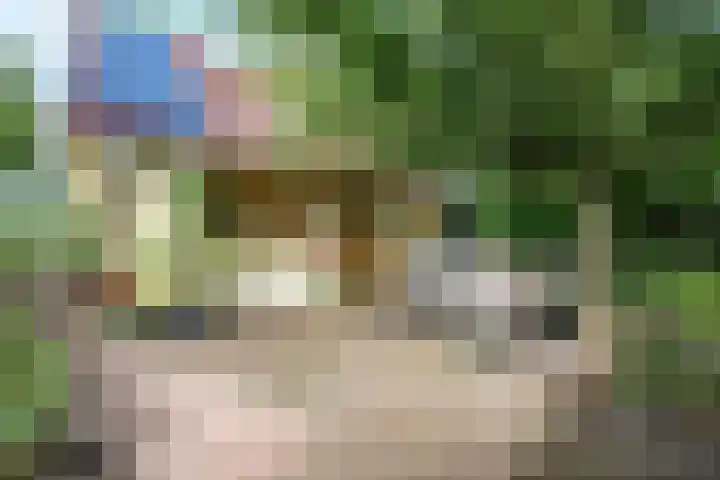 Melisse 14 Rutten thumbnail 46