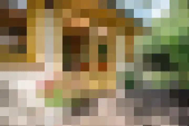 Melisse 14 Rutten thumbnail 47