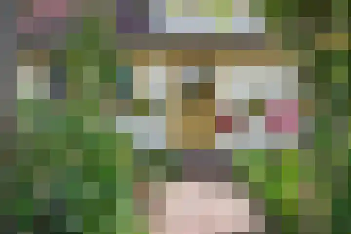 Melisse 14 Rutten thumbnail 5