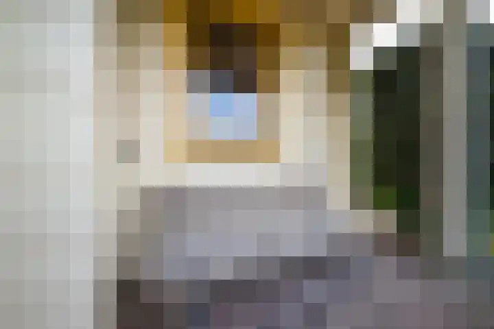 Melisse 14 Rutten thumbnail 7