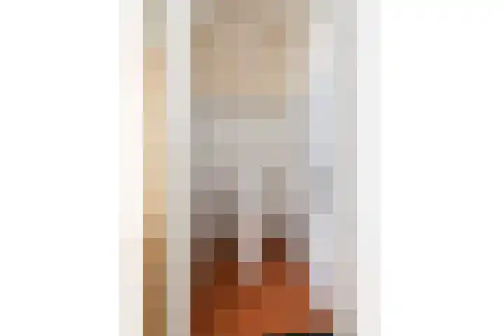 Melisse 16 Dronten thumbnail 11