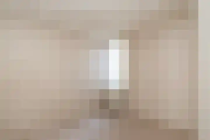 Melisse 16 Dronten thumbnail 14