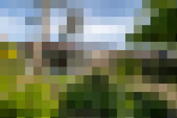 Melisse 16 Dronten thumbnail 20