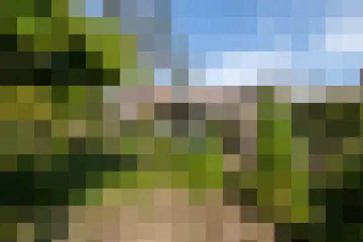 Melisse 16 Dronten thumbnail 21