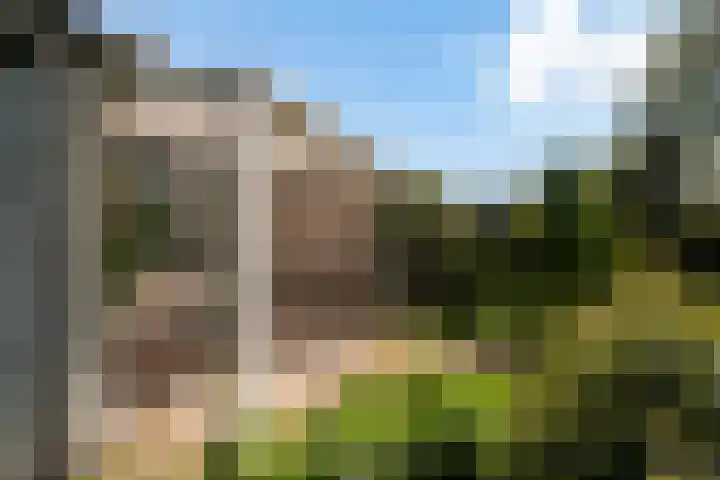 Melisse 16 Dronten thumbnail 22