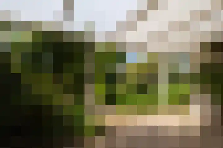 Melisse 16 Dronten thumbnail 24
