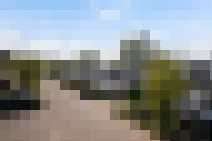 Melisse 16 Dronten thumbnail 25