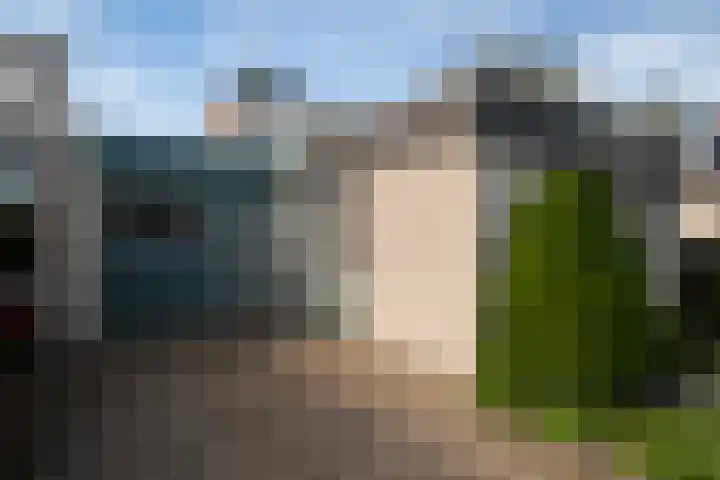 Melisse 16 Dronten thumbnail 27