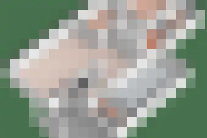 Melisse 16 Dronten thumbnail 29