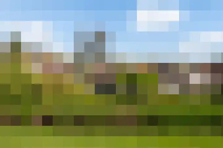 Melisse 16 Dronten foto 3