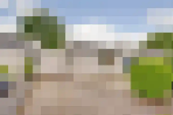 Melisse 22 Dronten