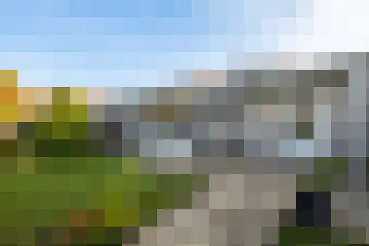 Melisse 28 Dronten thumbnail 14