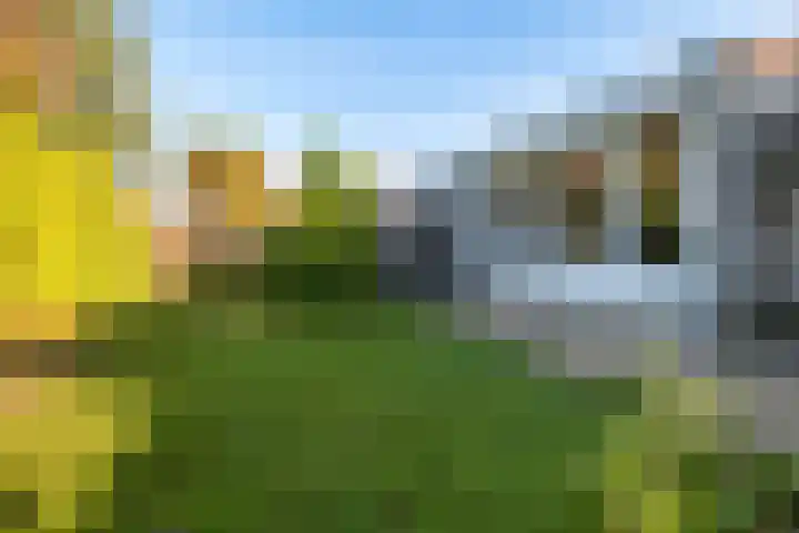 Melisse 28 Dronten thumbnail 15
