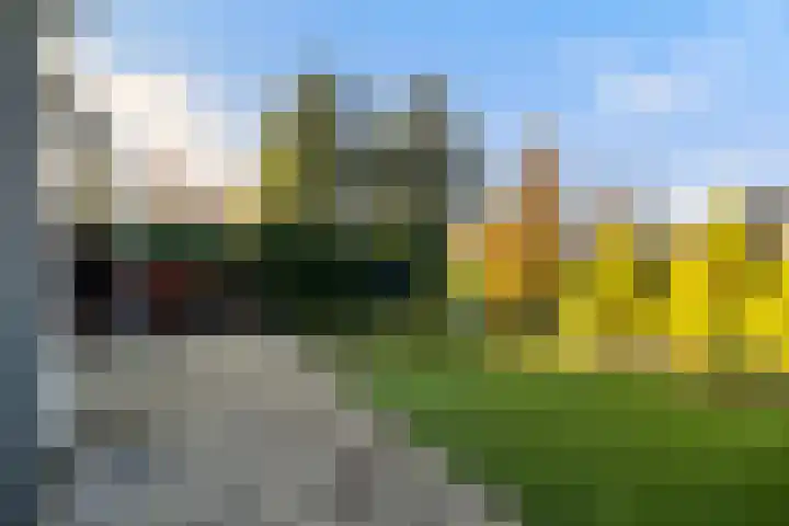 Melisse 28 Dronten thumbnail 16
