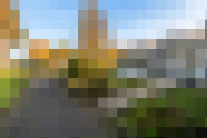 Melisse 28 Dronten thumbnail 17