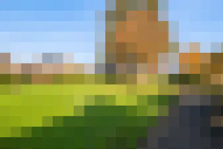 Melisse 28 Dronten thumbnail 18