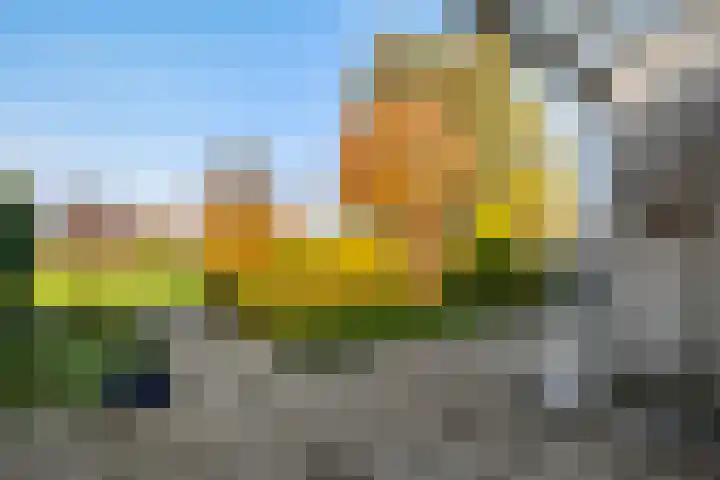 Melisse 28 Dronten foto 2