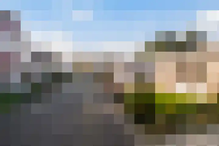 Melisse 28 Dronten thumbnail 20