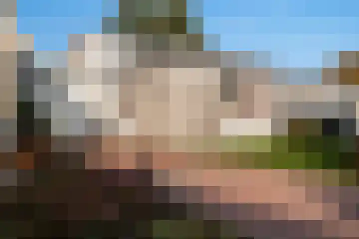 Melisse 28 Dronten thumbnail 5