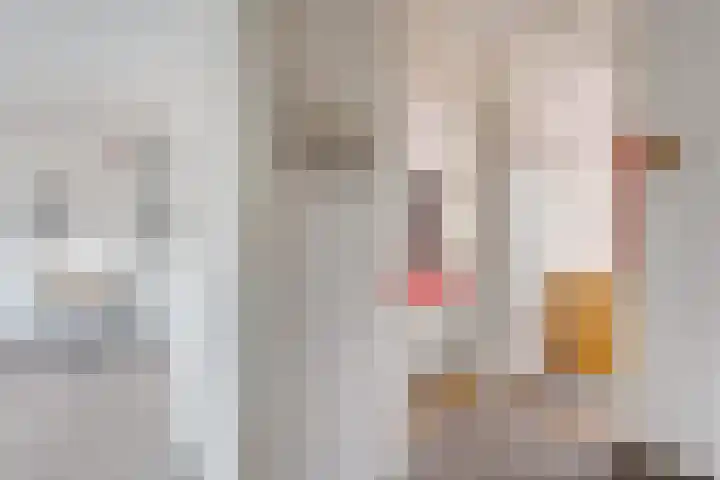 Melissehof 8 Wierden thumbnail 13