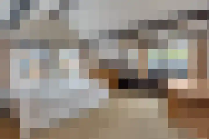 Melissehof 8 Wierden thumbnail 20