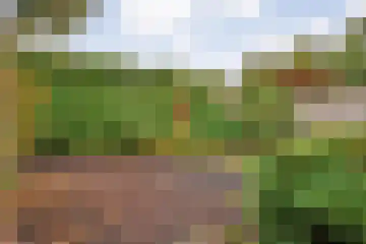 Melissehof 8 Wierden thumbnail 22