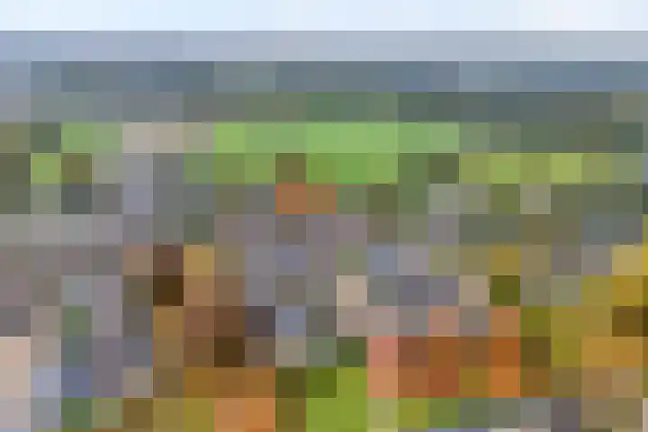 Melissehof 8 Wierden thumbnail 25