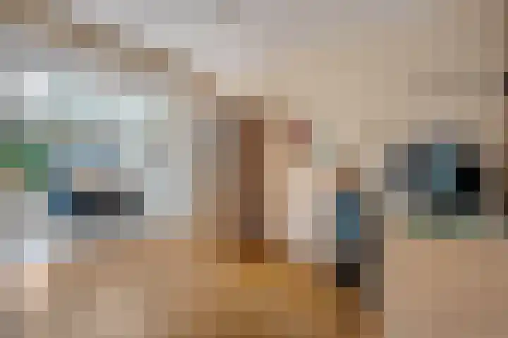 Melissehof 8 Wierden thumbnail 7