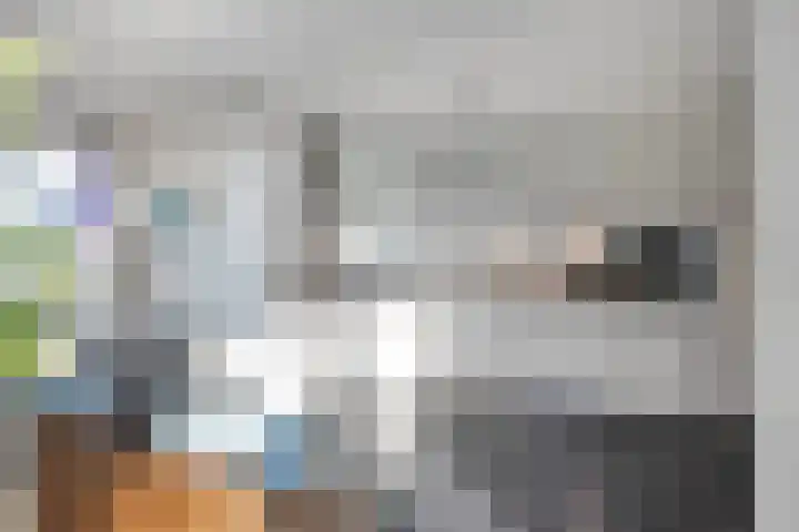 Melkdam 14 Lith thumbnail 13