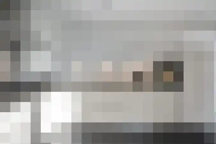 Melkdam 14 Lith thumbnail 14