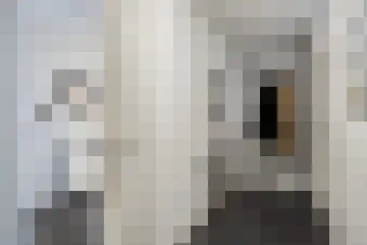 Melkdam 14 Lith thumbnail 16