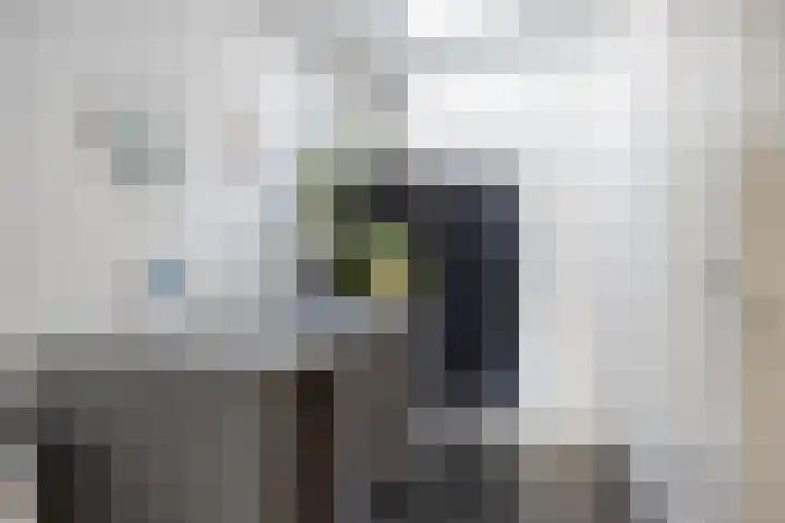 Melkdam 14 Lith thumbnail 17