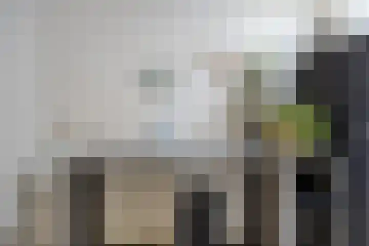 Melkdam 14 Lith thumbnail 18