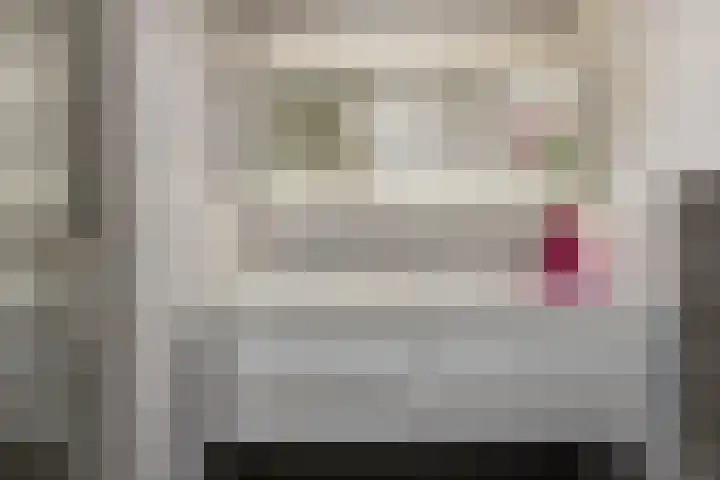 Melkdam 14 Lith thumbnail 19