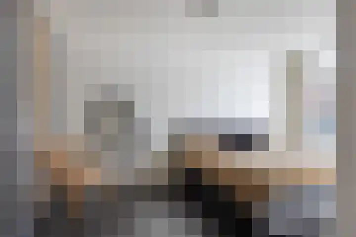 Melkdam 14 Lith thumbnail 25