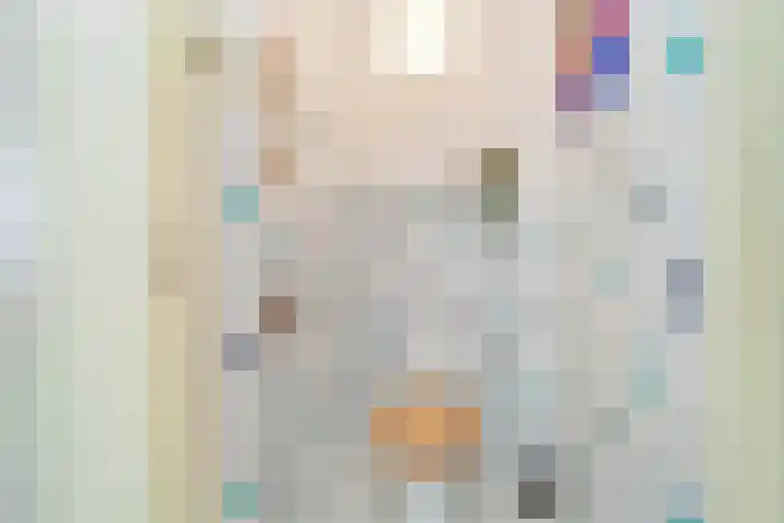 Melkdam 14 Lith thumbnail 26