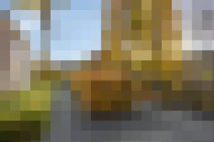 Melkdam 14 Lith thumbnail 29