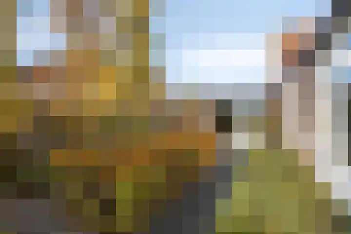 Melkdam 14 Lith thumbnail 30