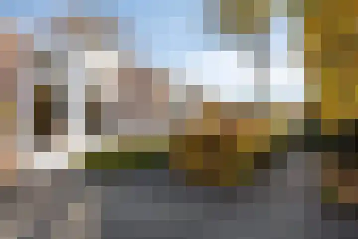 Melkdam 14 Lith thumbnail 31