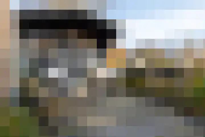 Melkdam 14 Lith thumbnail 32