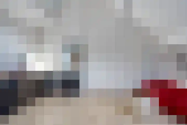 Melkdam 14 Lith thumbnail 38