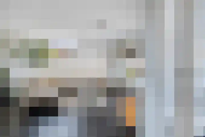 Melkdam 14 Lith thumbnail 6