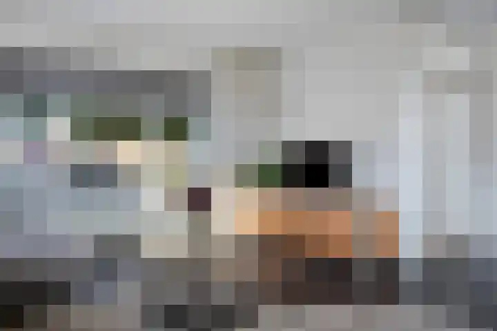 Melkdam 14 Lith thumbnail 8