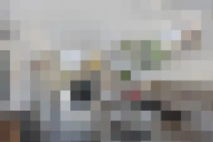 Melkdam 14 Lith thumbnail 9