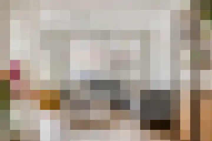 Melkdam 17 Lith thumbnail 11