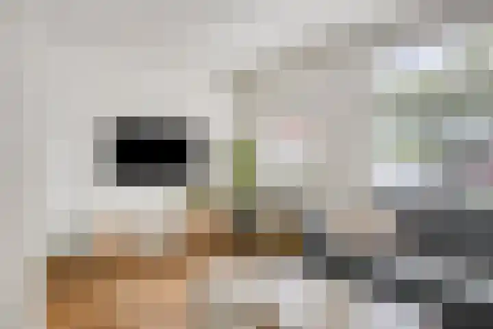 Melkdam 17 Lith thumbnail 13