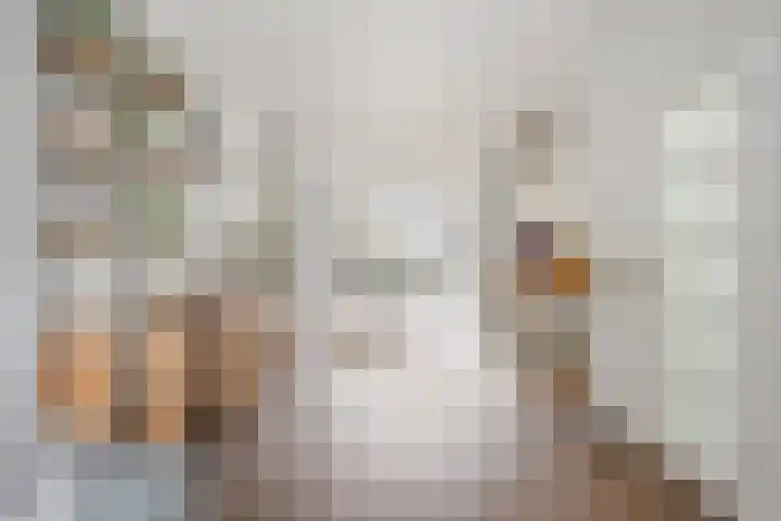Melkdam 17 Lith thumbnail 14