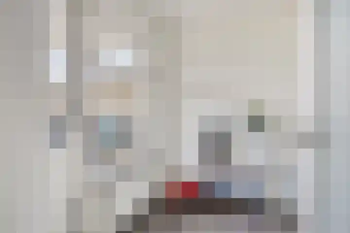 Melkdam 17 Lith thumbnail 21
