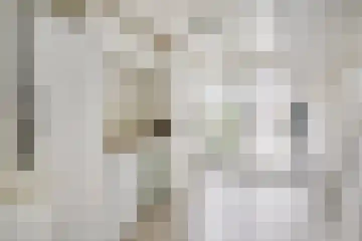 Melkdam 17 Lith thumbnail 22